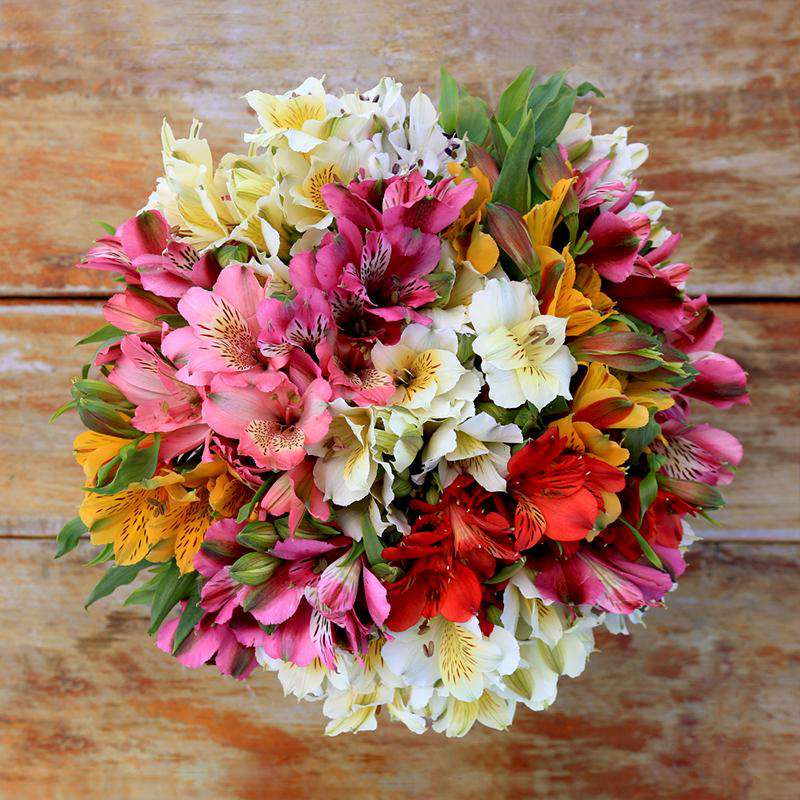 Fiesta Flower Bouquet 1 - Rosaholics