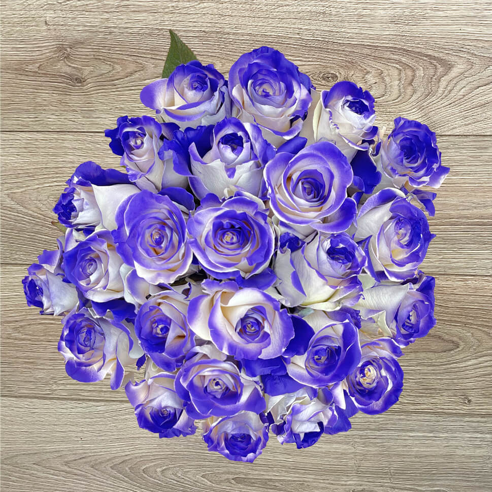 Purple Vaughn roses bouquet by Rosaholics